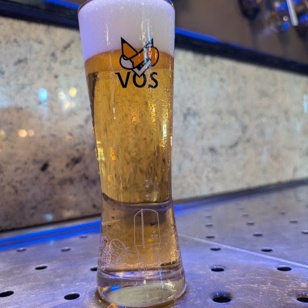 Bierglas Vergulden Vos - 30cl